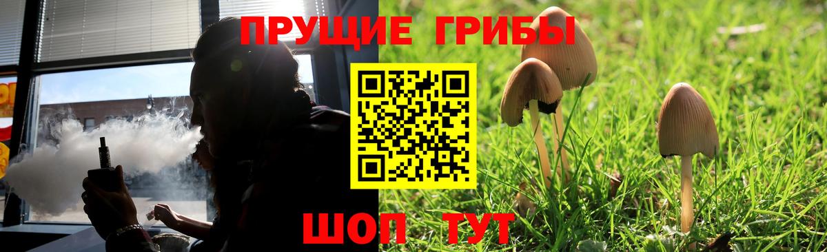 Галлюциногенные грибы мухоморы  Вход с VPN  Заводоуковск 