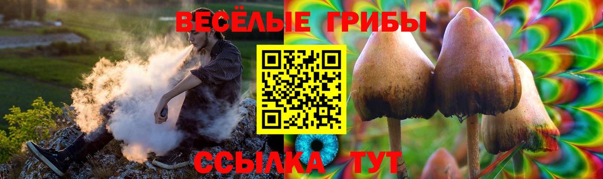 Псилоцибиновые грибы Magic Shrooms Заводоуковск